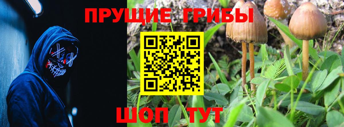 Псилоцибиновые грибы ЛСД  Вход с VPN  Петровск  наркотики  Галлюциногенные грибы мухоморы 