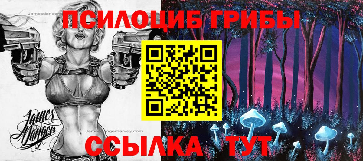 Псилоцибиновые грибы MAGIC MUSHROOMS Петровск